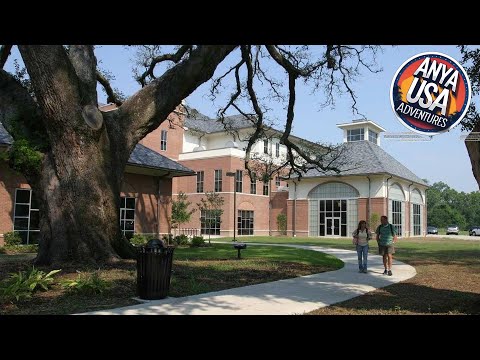 Hampton Inn & Suites Lafayette | Lafayette (LA), United States | Hotel Review 🛏️