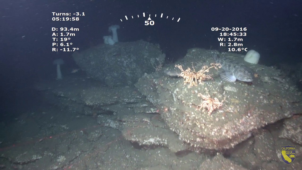 Portuguese Ledge State Marine Conservation Area