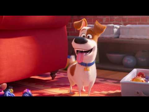 Movie Trailer: ペット2 (2)