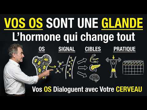 Miniature de la vidéo Corps & Craie : le squelette, organe endocrinien