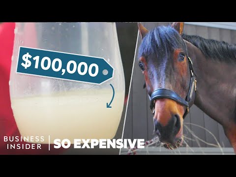 , title : 'Why Horse Semen Is The World’s Most Expensive Liquid | So Expensive'