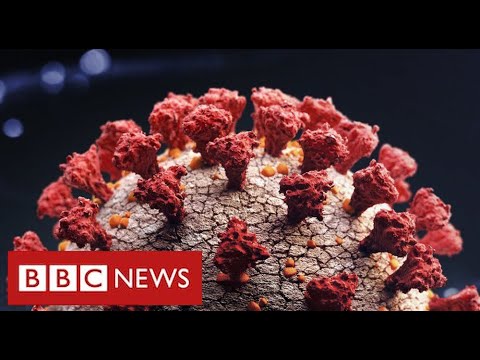擔心新的Covid變種更具傳染性，更難控制 - BBC News (Fears that new Covid variant is more infectious and harder to contain - BBC News)