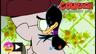 Courage The Cowardly Dog | Deadly Duckling | Cartoon Network
