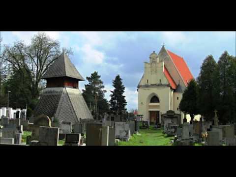 Pardubice - Pardubický  Slavín, hřbitov  Pardubičky  2017