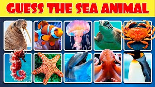 Can You Name the Sea Animals?