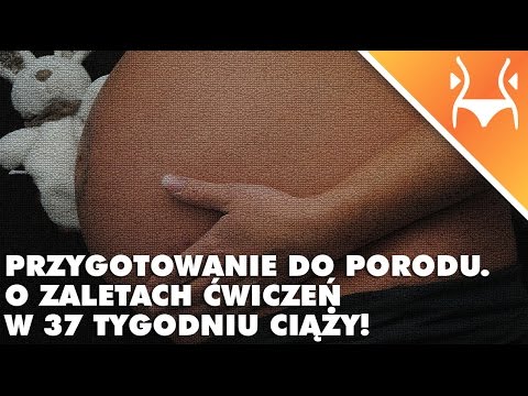 Iniekcje w mięsień zdjęcie psa Pobierz Encyclopedia of Modern Bodybuilding Volume 2