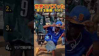 【俺の厳選】世界でバズった動画集🐾Part16