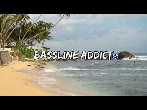 DJ Pantha Ft. MNT - Team Get Loco Run Shit│BasslineAddict