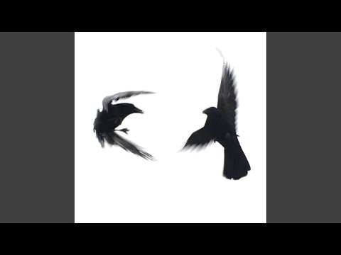 Ma Plume (feat. Nocif)