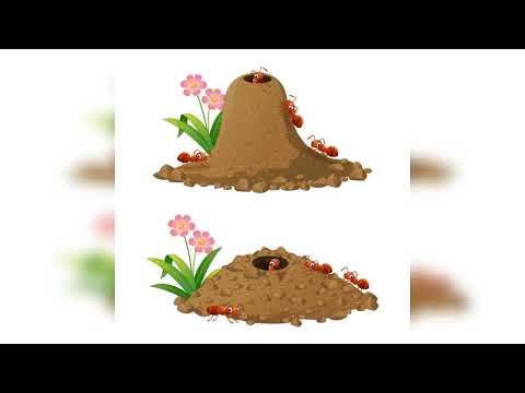 SALONGO MAWEJJE - EKISWA MUNJU KITEGEZA KYI