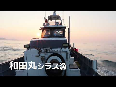 【地魚大作戦60”】