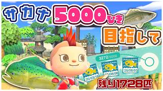 【あつ森】100匹連続釣り上げろ！5000匹を目指してひたすら釣りまくるっ🎣The雑談【あつまれどうぶつの森】