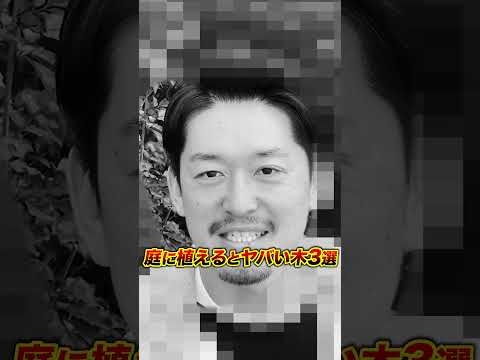 ピンクの忍び寄るセアノーテ: この観賞用低木をどのように栽培し維持するか?  庭園