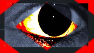 hallo Mark forster Cover