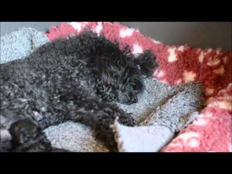 Är man ensam i baren…