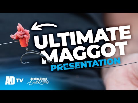 How To Tie a Maggot Spinner D-Rig - Carp Fishing Quickbite