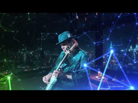 Walter Trout Band - The Reason I'm Gone