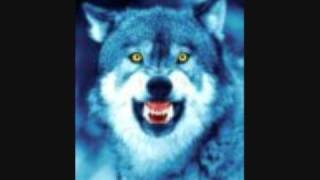 REDSEA-Wolves At The Door