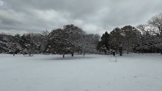 Snowy Flight around my House in Norman, Ok!!! Dji Avata 2