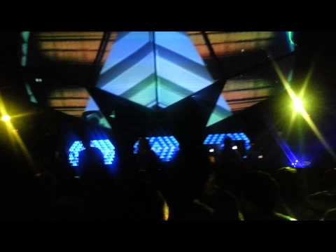 Dengue Dengue Dengue Toro Bar - El remolon