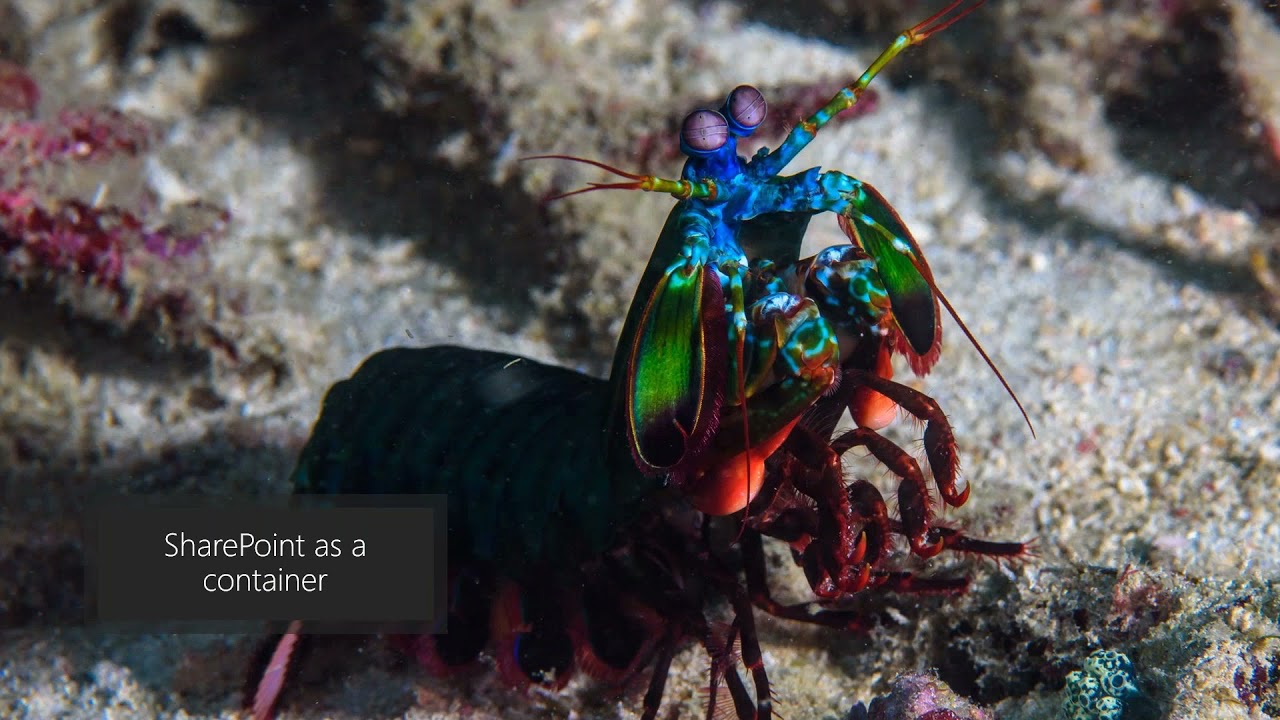 Deep Dive on Power BI and SharePoint Deep Dive on Power BI and SharePoint