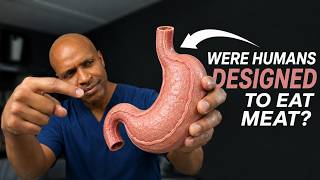Were Humans Actually Designed to Eat Meat