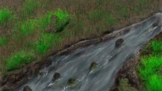preview picture of video 'TwistedBrush Stream'