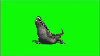 Download lagu Crocodil green screen 'buaya' mp3