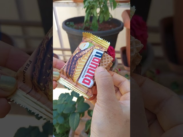 Vídeo relacionado con Ferrero Hanuta Waffle - Rebanadas de avellana 220 gramos 10 piezas 1 paquete de capsulas