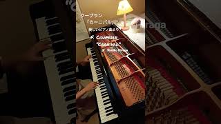 Download lagu クープラン「カーニバル」F. Coupein“Carnival”pf:Kuniko Hiraga #Short mp3 Download lagu クープラン「カーニバル」F. Coupein“Carnival”pf:Kuniko Hiraga #Short mp3