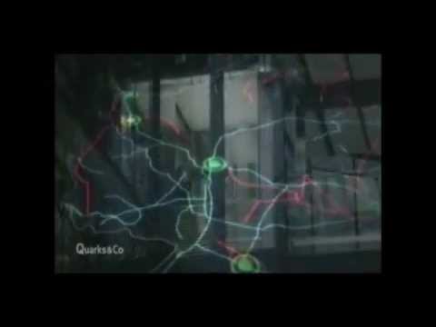 Plan F aus "Quarks & Co" vom WDR - Ohne Energie kann unsere Gesellschaft nicht überleben"