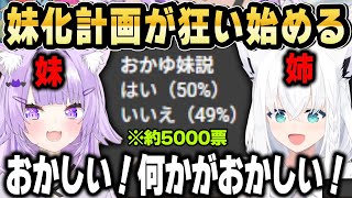 おかゆん妹説を「はい」か「いいえ」でアンケートを取ってみたら、まさかの結果に驚愕するおかゆんｗ【ホロライブ 切り抜き/猫又おかゆ/白上フブキ】