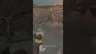 A Plague Tale Requiem: guard fails at throwing #aplaguetale #aplaguetalerequiem #xboxseriess