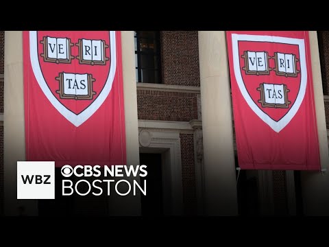 Judge rules Trump administration unlawfully froze Harvard's ...