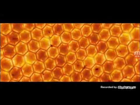 Чики бамбони