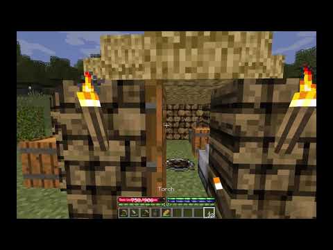 Terrafirmacraft #14 - Not so close calls