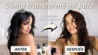 Cómo transformé mi pelo y recuperé mis RIZOS✨​ Tips, rutina + consejos *LOW COST*