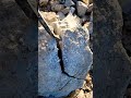 ‼️This was Found in a 500,000,000 year old Dolostone ROCK?!‼️ More Rocks.. 😭  #shorts