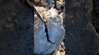Download lagu ‼️This was Found in a 500,000,000 year old Dolostone ROCK?!‼️ More Rocks.. 😭  #shorts mp3