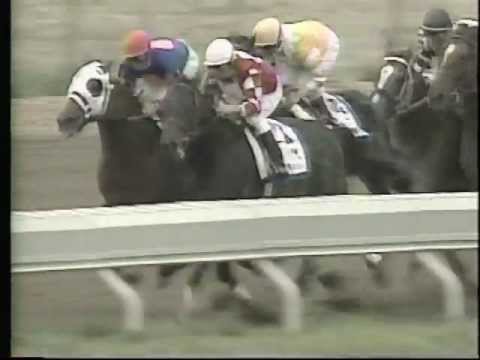 1995 Blue Grass Stakes - Wild Syn