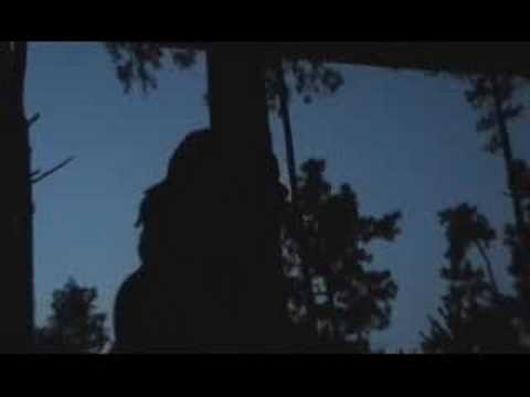 Billionaire Dreaming-Kyro Official