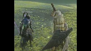 【ナイトレイン】私が見た夜雨【実況】