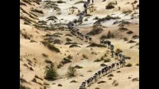 Wayfaring Stranger - Traditional (cover by JC)