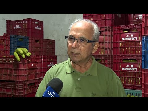 Fruticultor do Povoado Riacho dos Negros em Palmeirais se destaca em vendas de bananas 06 05 2023