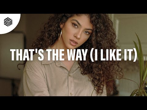 Robbe, Bisken & Kristianex - That's The Way (I Like It)