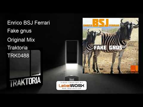 Enrico BSJ Ferrari - Fake gnus (Original Mix)