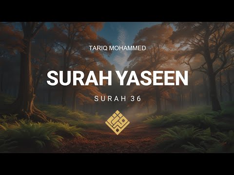 Surah Yaseen with English Translation | Beautiful Quran Recitation (Surah 36)
