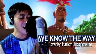 We Know the Way - Disney's MOANA [Cover]