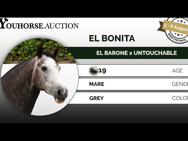 El Bonita loose jumping