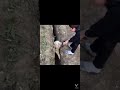 Shot On IPhone Meme Sheep Got Stuck In A Hole TWICE